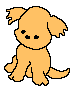 chiot
