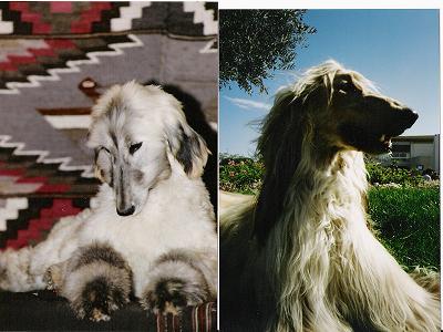 Shanita...et  notre  ccicho Bello !